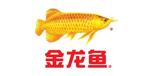 永坤減速機廠家客戶見證之金龍魚食用油全自動生產(chǎn)線