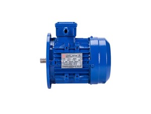 防爆電機都有哪些防爆系統？