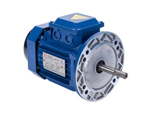 三相電機響聲異常震動較大不能轉動等故障怎么排除以及維修