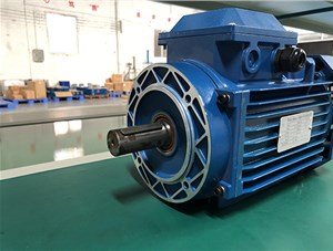 三相異步電動機的旋轉方向取決于