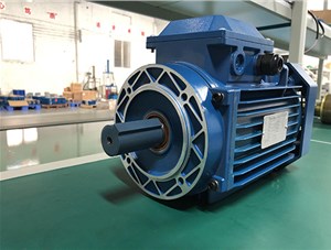 三相異步電動機基本結(jié)構(gòu)