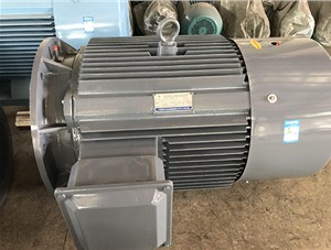 三相異步電動(dòng)機(jī)的故障診斷與維護(hù)