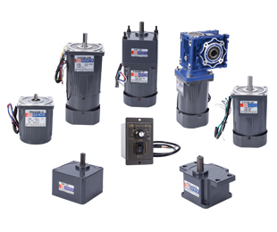 微型調(diào)速定速減速電機6W-120W