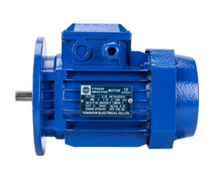  三相鼠籠式異步電動機(jī)