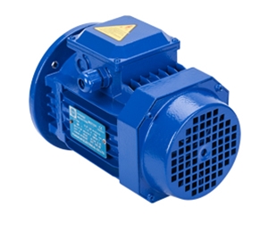 三相交流異步電動機(jī)立臥式