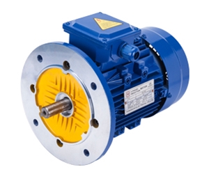 交流三相異步電動機(jī)B5安裝