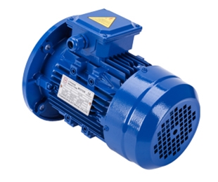 立式Y(jié)E2系列三相異步電動機(jī)