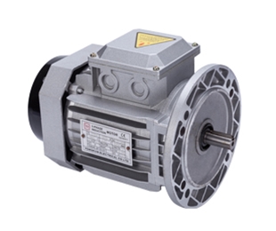  Y 2、YE2、YE3系列交流異步電動機(jī)